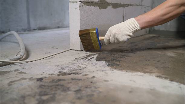 Top rated local Waterproofing specialists in South Rockwood, MI